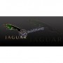Taza de Jaguar