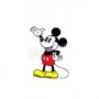 Termo de Mickey Mouse