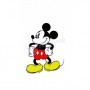 Termo de Mickey Mouse