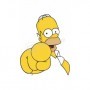 Termo de Homero Simpsons