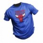 Camiseta de Chicago Bulls